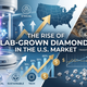 The Rise of Lab-Grown Diamonds in the U.S. Market Shree Diamond Mfg