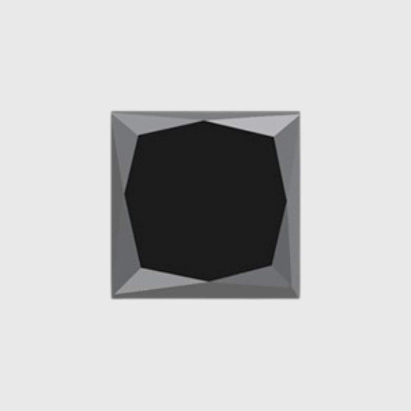 Princess Cut Black Diamond