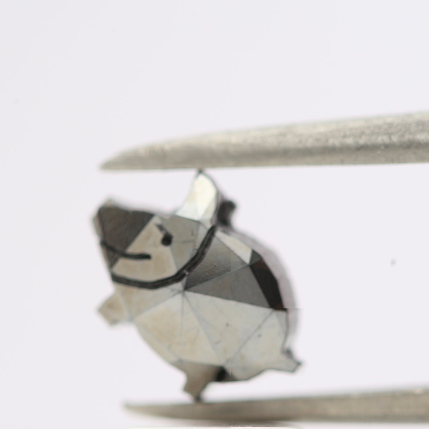 1.07 Ct Natural Black Pig Loose Diamond for Jewelery