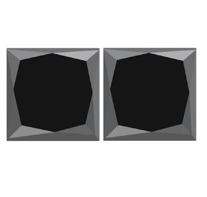 1.00 ct Natural Princess Cut Loose Diamond, Fancy Black Color